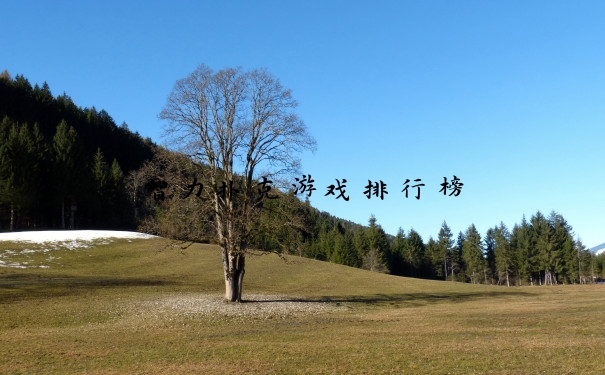 智力扑克游戏排行榜