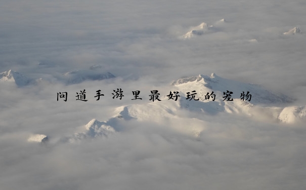 问道手游里最好玩的宠物