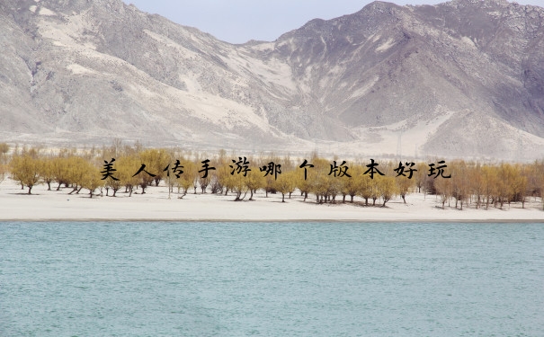美人传手游哪个版本好玩