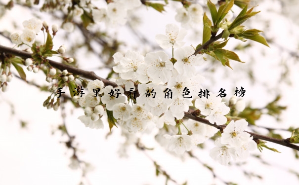手游里好看的角色排名榜