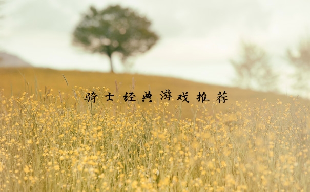 骑士经典游戏推荐