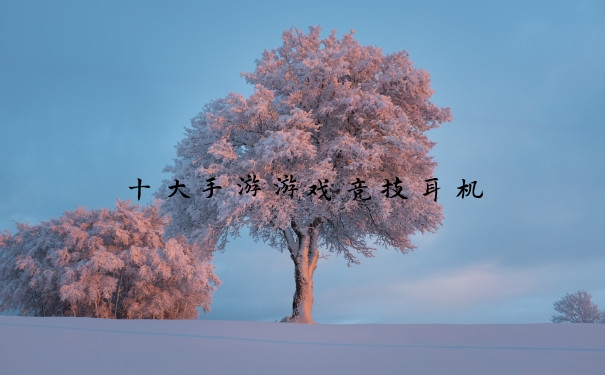 十大手游游戏竞技耳机