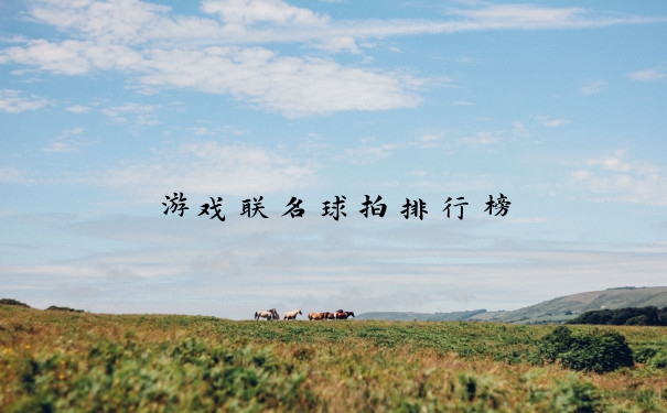 游戏联名球拍排行榜