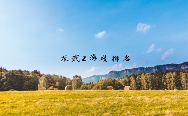 龙武2游戏排名