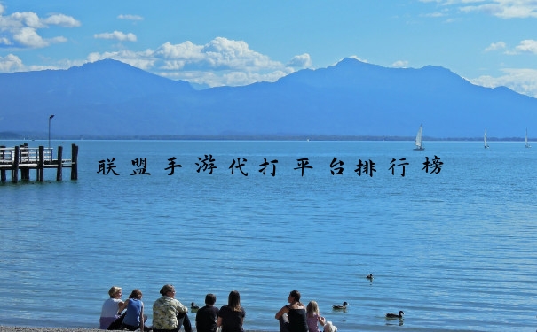 联盟手游代打平台排行榜