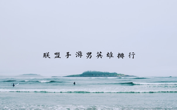 联盟手游男英雄排行