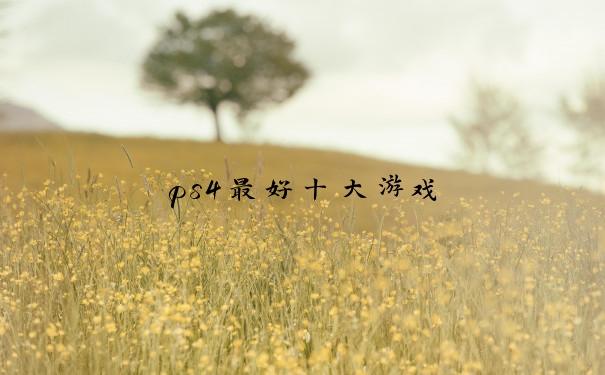 ps4最好十大游戏