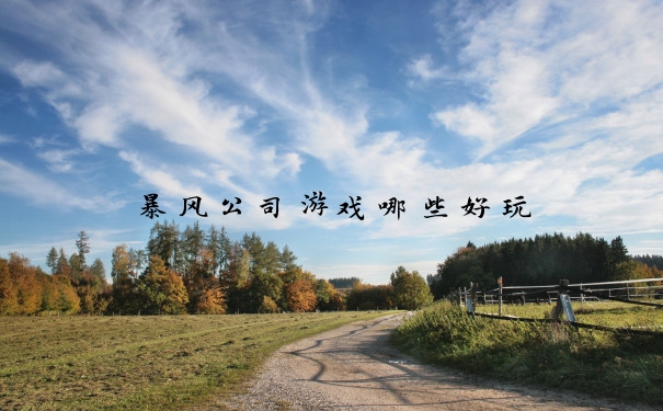 暴风公司游戏哪些好玩