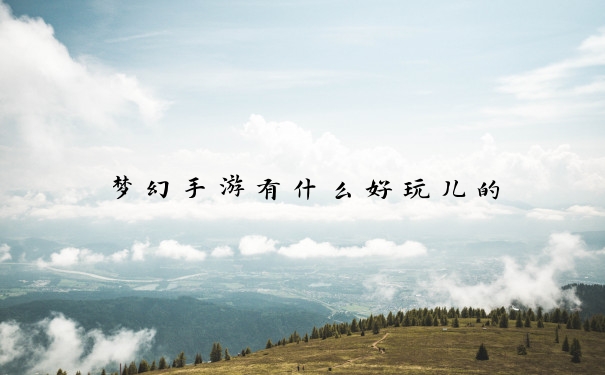 梦幻手游有什么好玩儿的